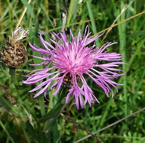 Buchungsbestätigung